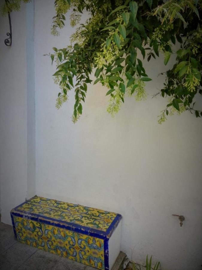 Apartment Alacas Sevilla Экстерьер фото