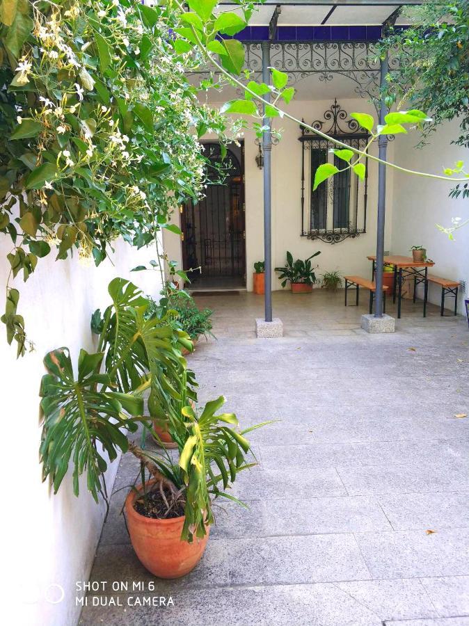 Apartment Alacas Sevilla Экстерьер фото