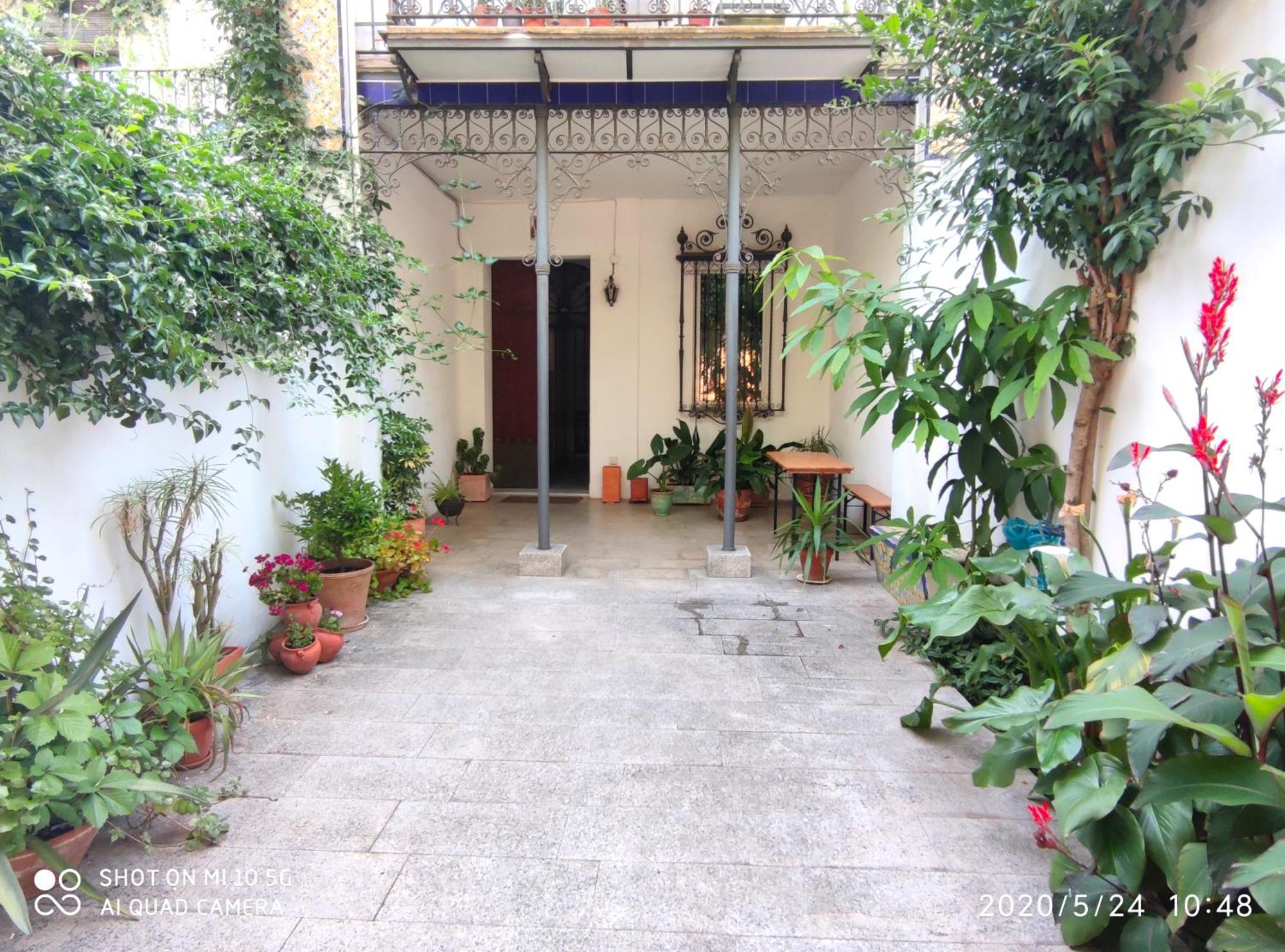 Apartment Alacas Sevilla Экстерьер фото